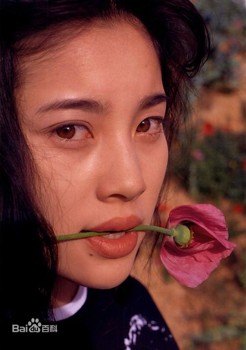 最全濑户朝香(瀬戸 朝香、せと あさか)壁纸