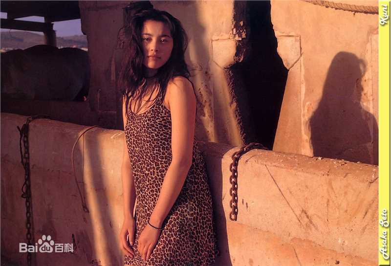 最全濑户朝香(瀬戸 朝香、せと あさか)壁纸