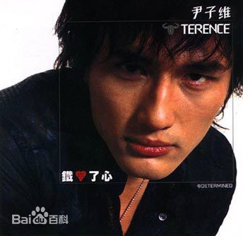 精选尹子维(Terence Yin)