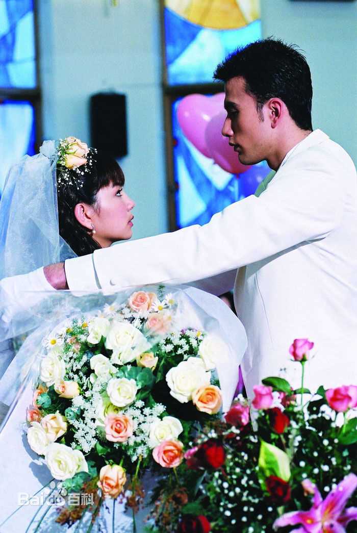 黄志玮(Jerry)2003年《蔷薇之恋》最优质剧照