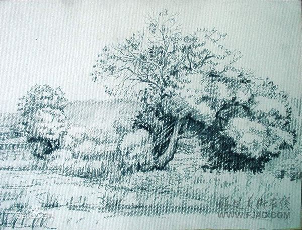 谢润作品壁纸壁纸