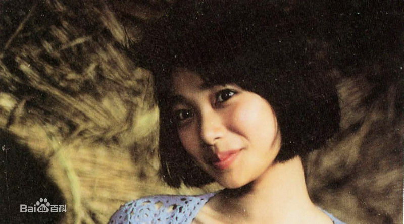 最全马翎雁壁纸