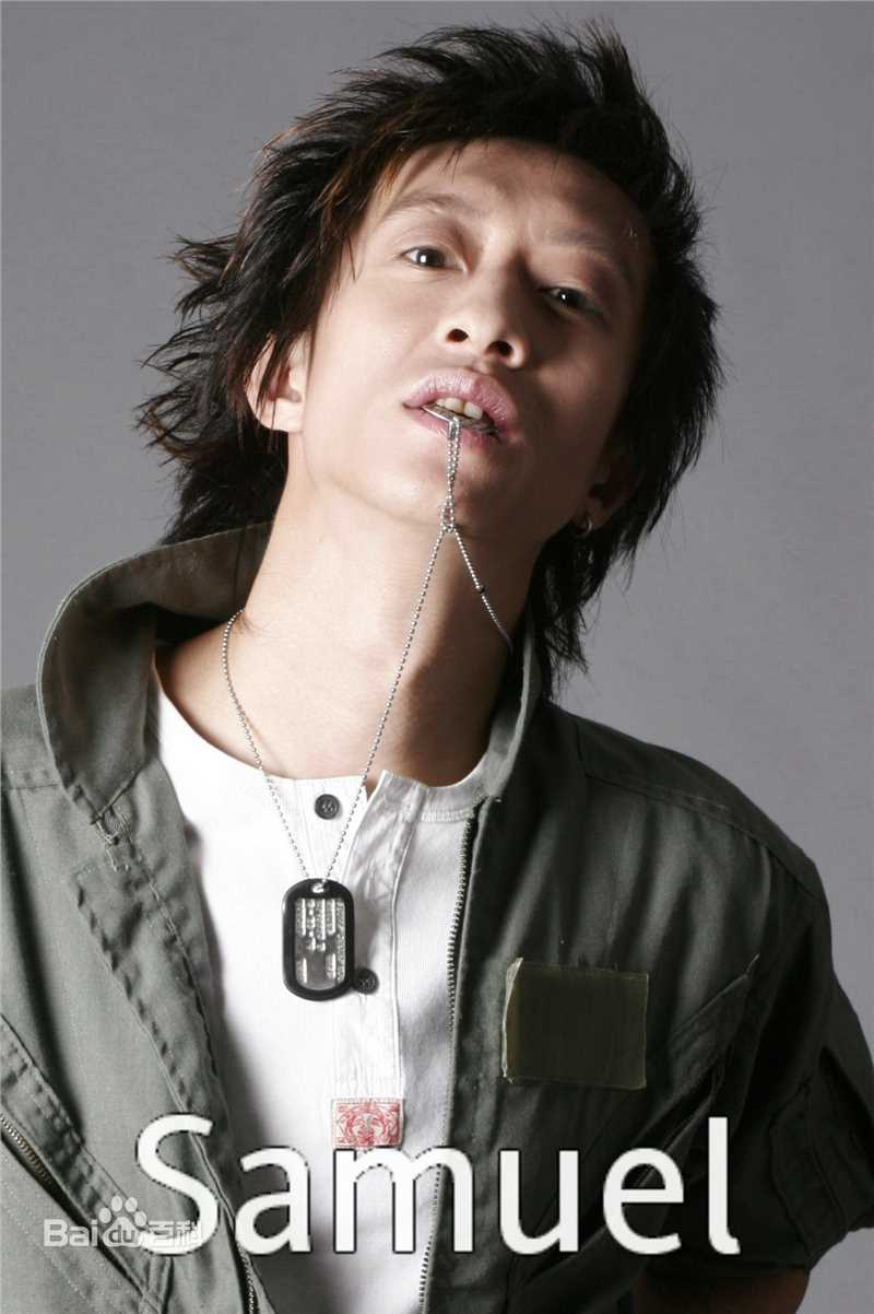 精选梁焯满(Samuel Leung，LeungCheuk-Moon)