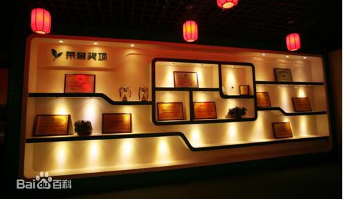 金炳兴及荣誉生活照相册