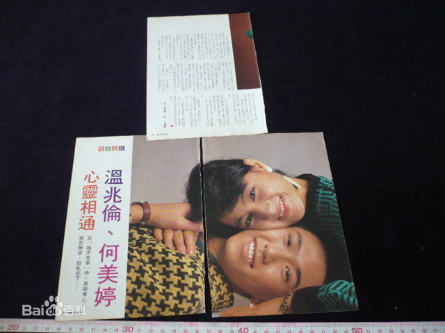 何美婷(Mei-Ting Hoh)曾经的前后照片