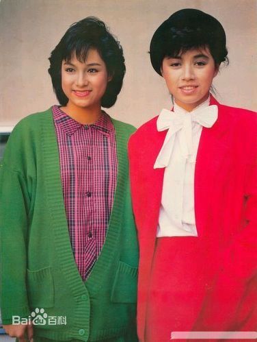 何美婷(Mei-Ting Hoh)曾经的前后照片