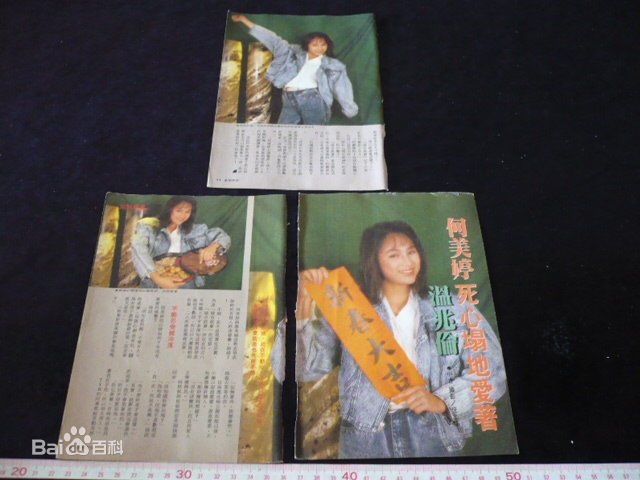 何美婷(Mei-Ting Hoh)曾经的前后照片