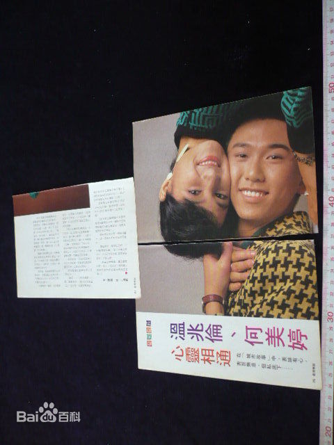 何美婷(Mei-Ting Hoh)曾经的前后照片