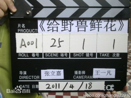 张立嘉(Leo)给野兽献花生活照