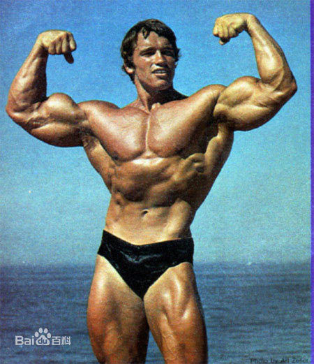 阿诺德·施瓦辛格(Arnold Schwarzenegger)施瓦辛格图片图集