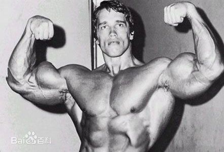 阿诺德·施瓦辛格(Arnold Schwarzenegger)施瓦辛格图片图集
