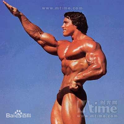 阿诺德·施瓦辛格(Arnold Schwarzenegger)施瓦辛格图片图集