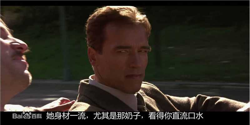 阿诺德·施瓦辛格(Arnold Schwarzenegger)施瓦辛格之真实的谎言最全剧照欣赏