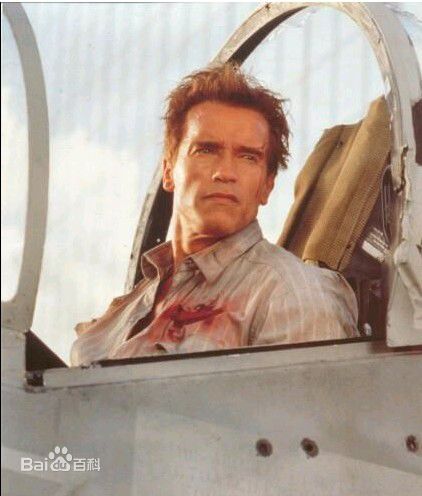 阿诺德·施瓦辛格(Arnold Schwarzenegger)施瓦辛格之真实的谎言最全剧照欣赏