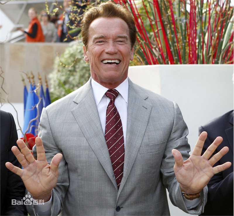 阿诺德·施瓦辛格(Arnold Schwarzenegger)2011戛纳电视节授予荣誉勋章壁纸壁纸
