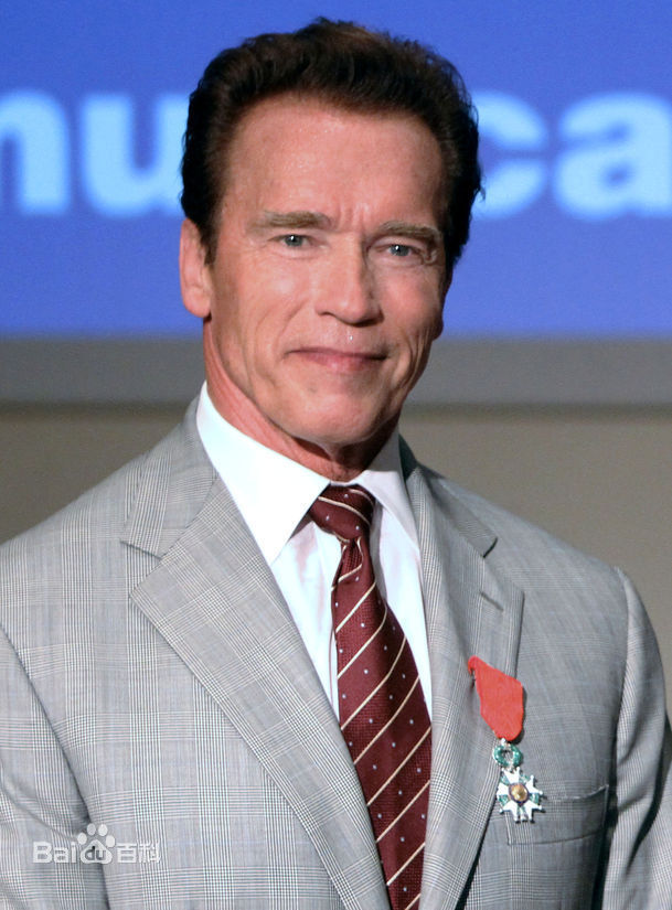 阿诺德·施瓦辛格(Arnold Schwarzenegger)2011戛纳电视节授予荣誉勋章壁纸壁纸