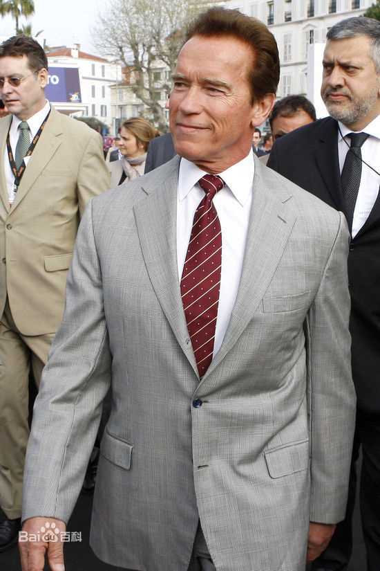 阿诺德·施瓦辛格(Arnold Schwarzenegger)2011戛纳电视节授予荣誉勋章壁纸壁纸