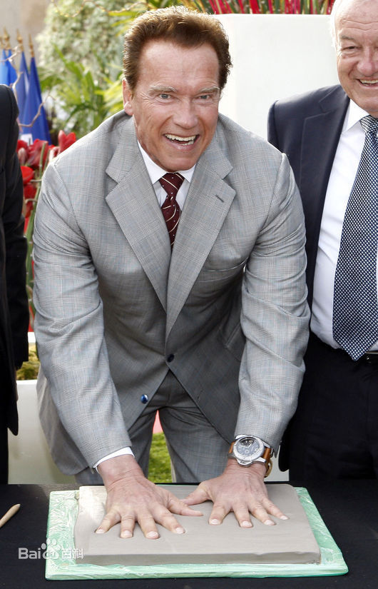 阿诺德·施瓦辛格(Arnold Schwarzenegger)2011戛纳电视节授予荣誉勋章壁纸壁纸