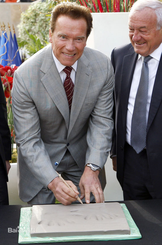 阿诺德·施瓦辛格(Arnold Schwarzenegger)2011戛纳电视节授予荣誉勋章壁纸壁纸