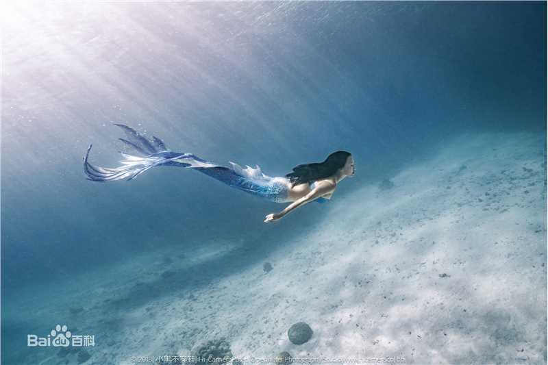 母其弥雅(MIYA)潜水/美人鱼图片图册