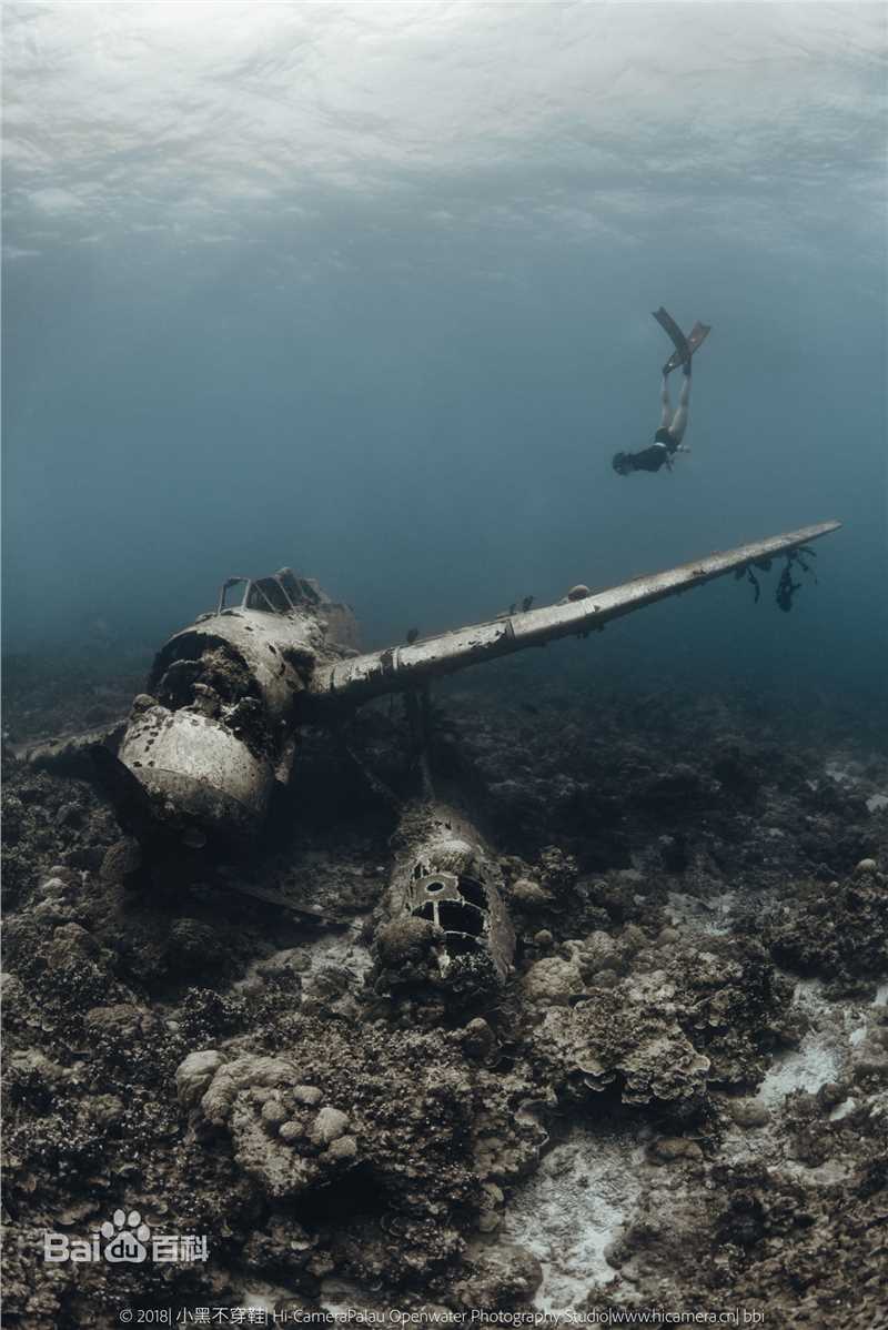 母其弥雅(MIYA)潜水/美人鱼图片图册