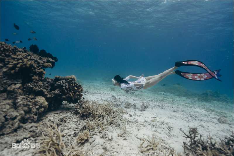 母其弥雅(MIYA)潜水/美人鱼图片图册