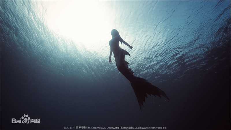 母其弥雅(MIYA)潜水/美人鱼图片图册