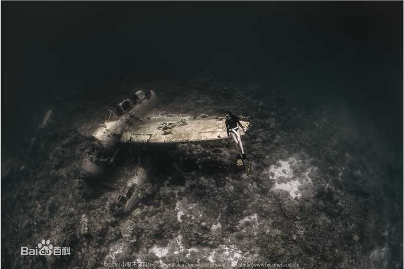 母其弥雅(MIYA)潜水/美人鱼图片图册