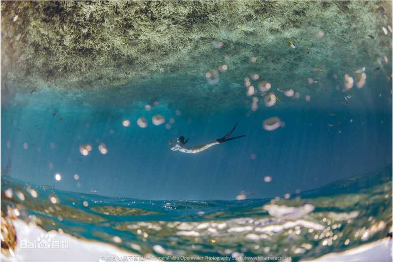 母其弥雅(MIYA)潜水/美人鱼图片图册