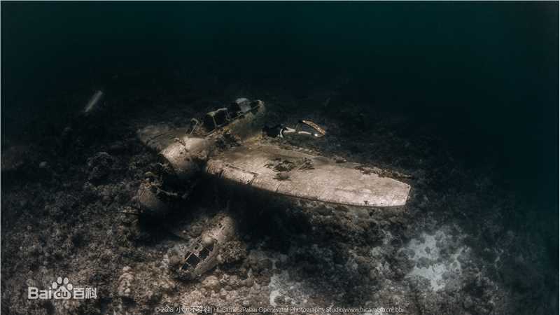 母其弥雅(MIYA)潜水/美人鱼图片图册