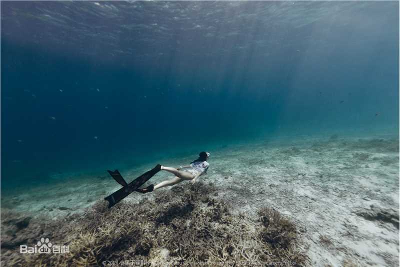 母其弥雅(MIYA)潜水/美人鱼图片图册