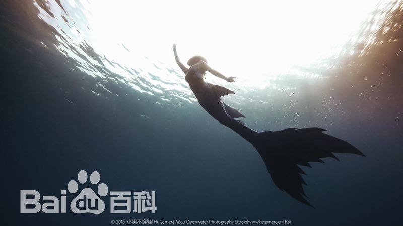 母其弥雅(MIYA)潜水/美人鱼图片图册