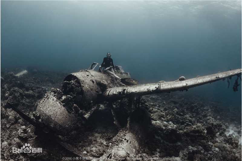 母其弥雅(MIYA)潜水/美人鱼图片图册
