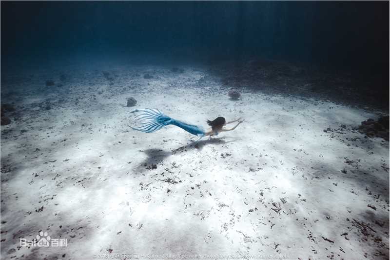 母其弥雅(MIYA)潜水/美人鱼图片图册