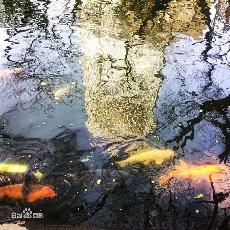 张蓝心(Zoe Zhang)蓝心摄影集壁纸壁纸