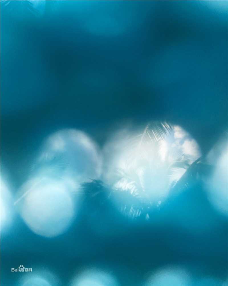 张蓝心(Zoe Zhang)蓝心摄影集壁纸壁纸