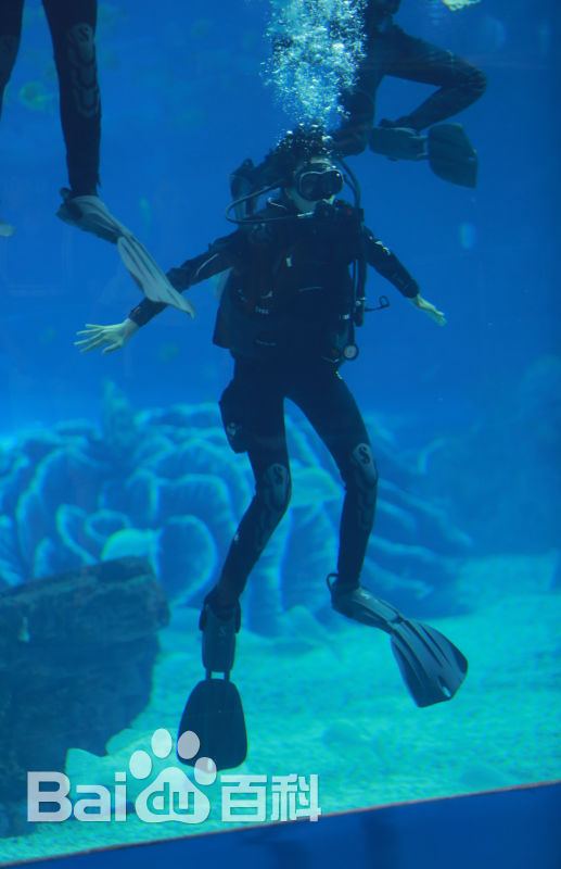 最新张蓝心(Zoe Zhang)在《挑战者联盟》中的壁纸