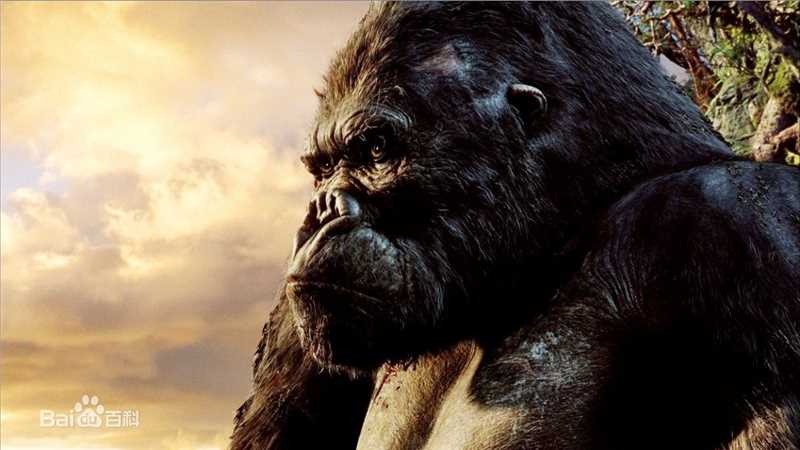 金刚(King Kong)电影最新剧照