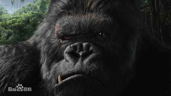 金刚(King Kong)电影最新剧照