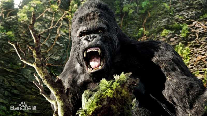 金刚(King Kong)电影最新剧照