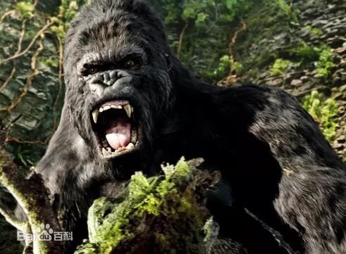 金刚(King Kong)宣传最新剧照