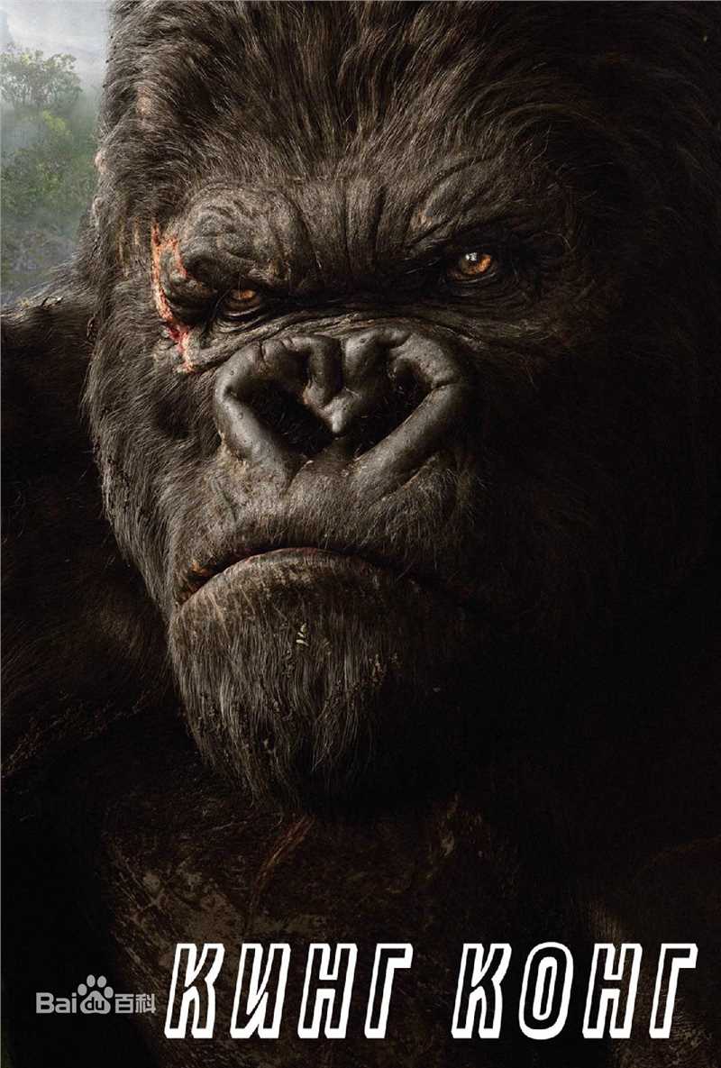 金刚(King Kong)高清最优质海报相册