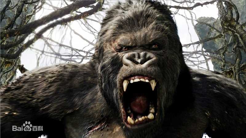 金刚(King Kong)高清最优质剧照