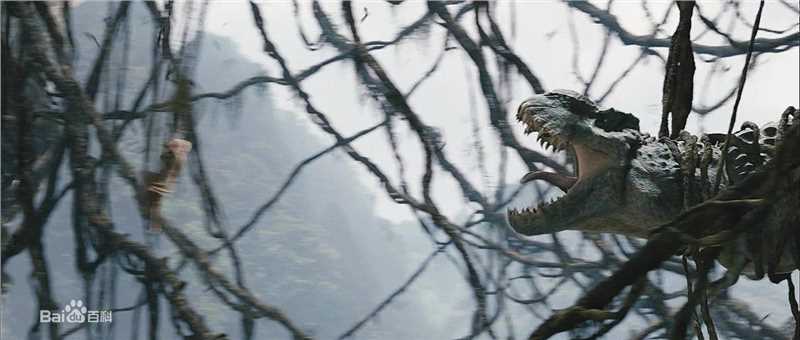 最优质金刚(King Kong)生活照