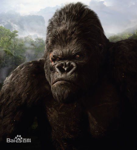 最优质金刚(King Kong)生活照