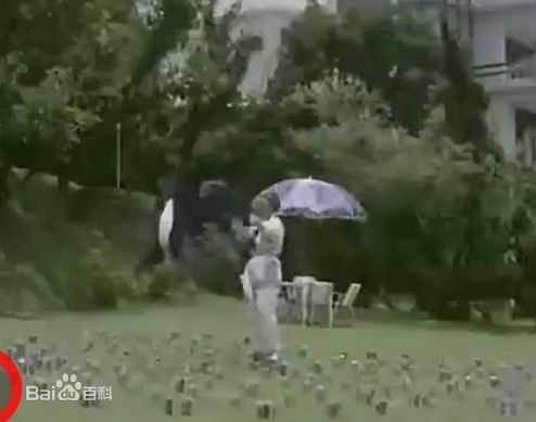 陈慧楼(Wai Lau Chen)好小子--爷爷--壁纸壁纸