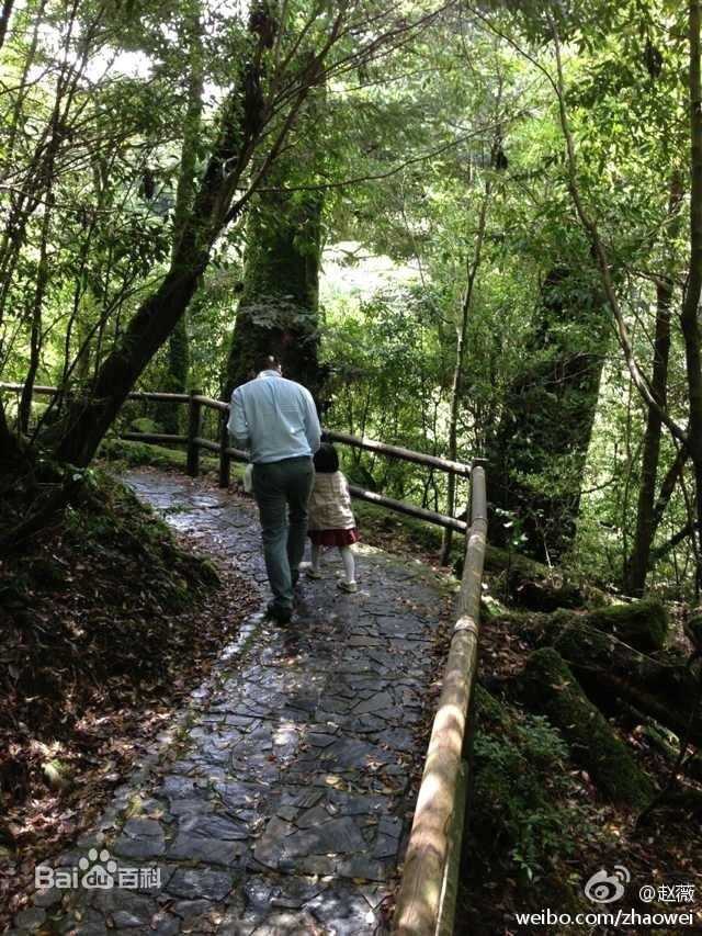 黄新(April)爸爸妈妈微博分享的小四月照片素颜照相册