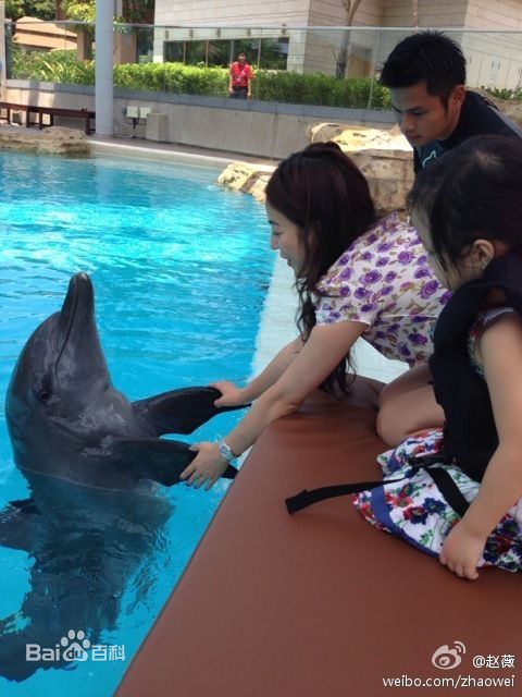 黄新(April)爸爸妈妈微博分享的小四月照片素颜照相册