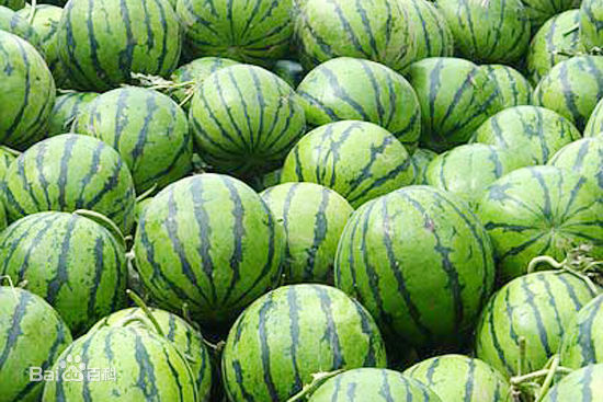 最全佐藤东弥(さとう とうや)素颜照