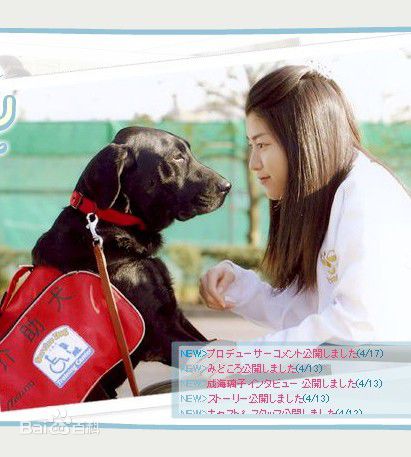 最全成海璃子(なるみ りこ/ Riko Narumi/塚本璃子（本名）)壁纸